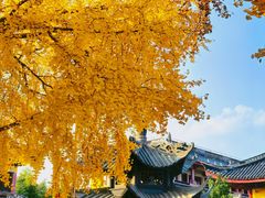 -上海青龙寺