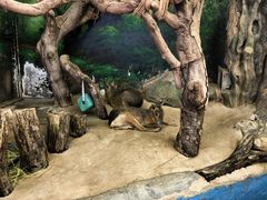 -正佳雨林生态植物园