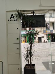 -I+造型烫发染发