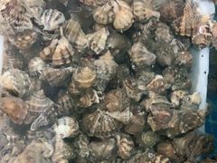 -宾朋海鲜美食特色餐厅·纯手工鲅鱼水饺(兴海路店)