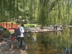 -玲珑塔公园