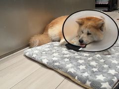 -YCHL Studios健身工作室(市二宫店)