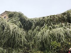-府河摄影公园