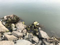 -汉江湾体育公园
