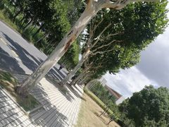 -同济大学(嘉定校区)