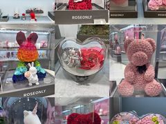 -ROSEONLY诺誓(广州K11店)