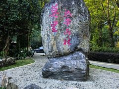 -莫里热带雨林景区