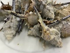 -明记海鲜美食老字号(明记总店)