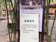 -海南槟榔谷黎苗文化旅游区