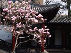 -碑林公园