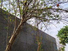 -广州神农草堂中医药博物馆