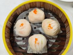 -渔鸽皇酒楼(鸿大广场店)