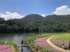 -广州市石门国家森林公园