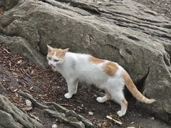 -云龙山