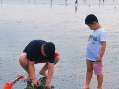 -奉贤海滩
