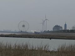 -碧海金沙