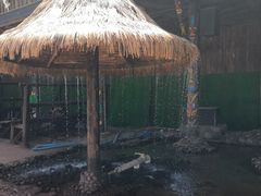 -呀路古热带植物园