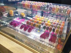 -野人先生现做冰淇淋(西安赛格店)