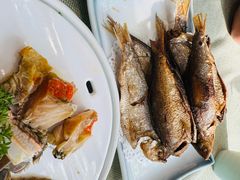 -渔娘渔家丹东海鲜(东直门店)