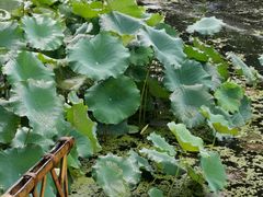 -韶山毛泽东同志故居