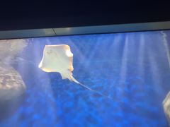 -福州罗源湾海洋世界旅游区