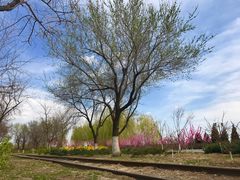 -永定河休闲森林公园