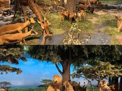 -国家自然博物馆