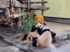 -野生动物园-停车场