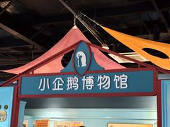 -海合安武汉极地海洋公园