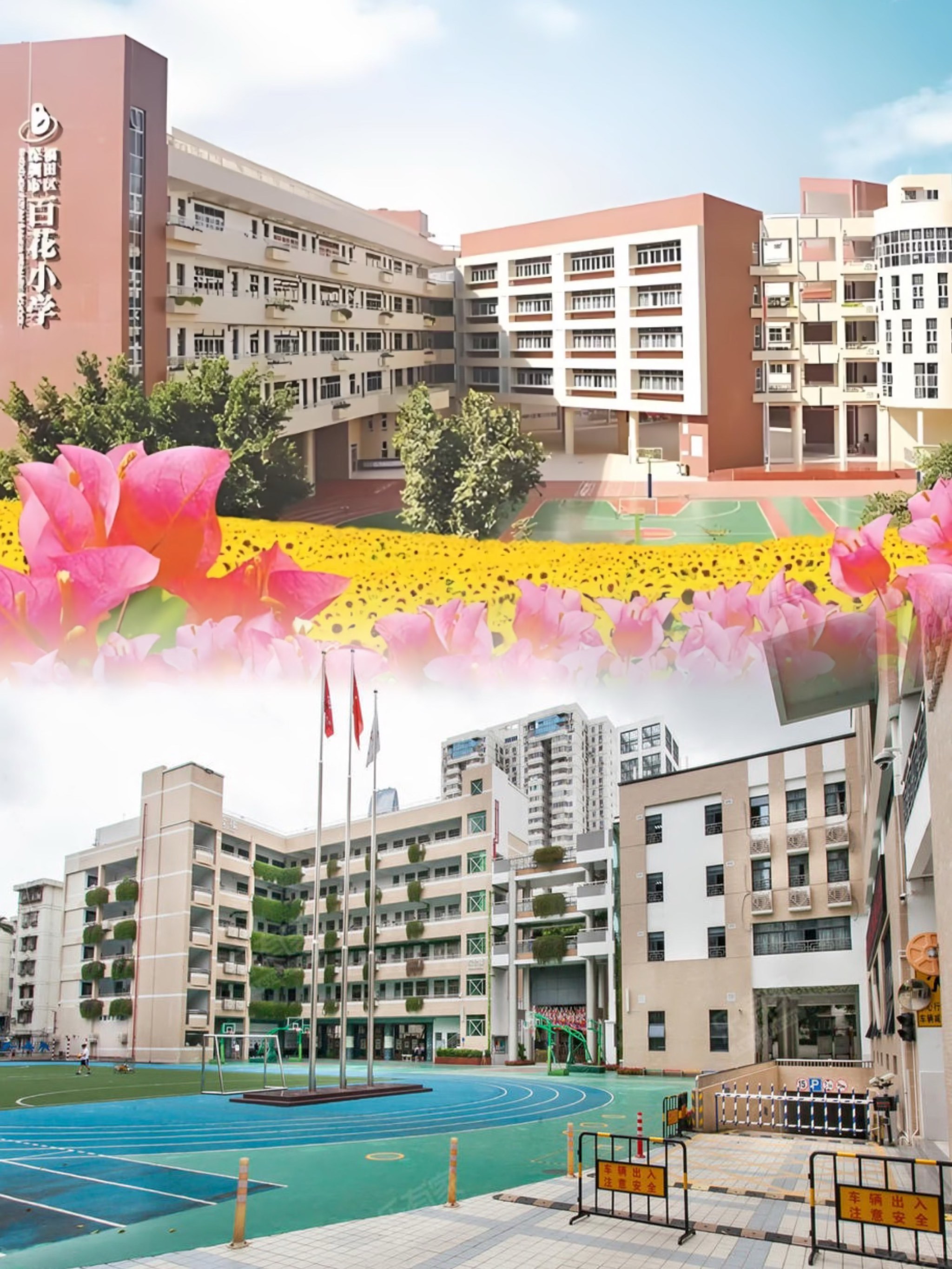 百花小学全知道🔥入学家长必看‼️