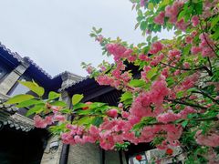 -回龙窝历史文化街区