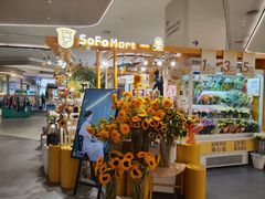 -合景·悠方(成都店)