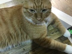 -小时光咖啡馆(开森度假森林店)