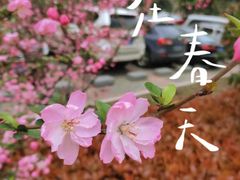 -蠡湖大桥公园