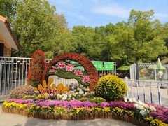 -上海共青森林公园