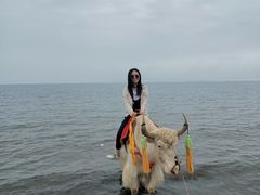 -青海湖国家重点风景名胜区