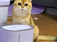 -瑞鹏宠物医院·普外科·影像科·皮肤科(城市山谷分院)