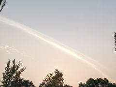 -秋霞圃