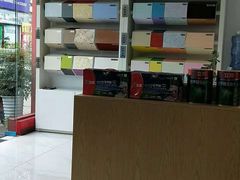 -立邦(武侯区西部专卖店)