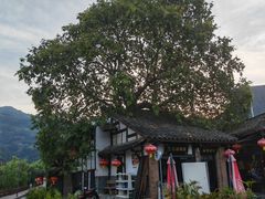 -后柳水乡