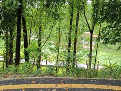 -深圳仙湖植物园