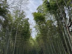 -海窝子古镇