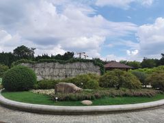 -嘉定紫藤园