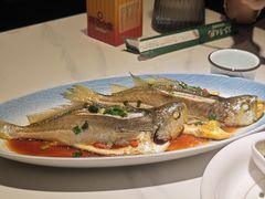 -33号大院·青岛本帮菜(五四广场店)