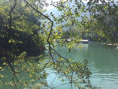 -广州市流溪河国家森林公园