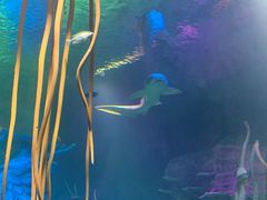 -沈阳海洋探索中心