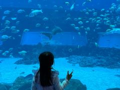 -南昌融创海世界
