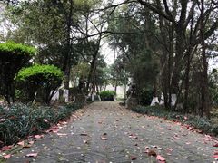 -白马涧龙池景区