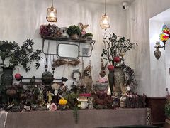 -春风·有糖(崇宁路店)