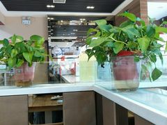 -嘉和一品粥(魏公村店)